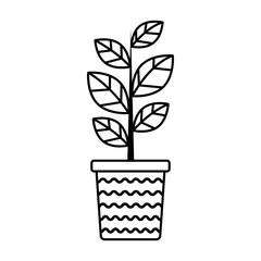 Fototapeta na wymiar Vector linear ficus in stripped pot. Isolated outline icon of houseplant