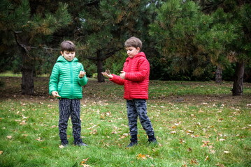 Two kids hiking in forest. Hiking with Toddlers and Young Kids.