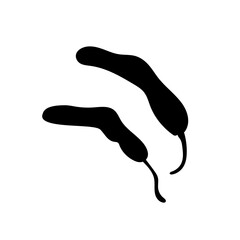 spicy chili seasoning