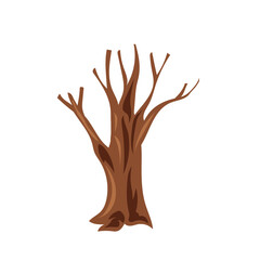 Obraz premium big dead tree silhouette