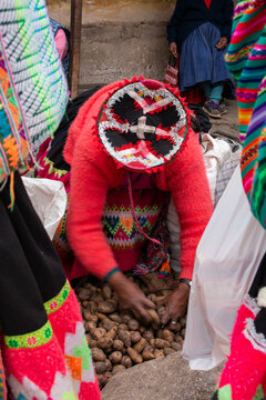 Woman in typical Peruvian dress, selling potatoes on the ground in Peru. 