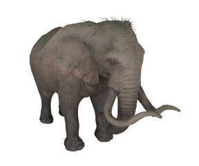 Fototapeta premium 3d rendering realistic elephant animal