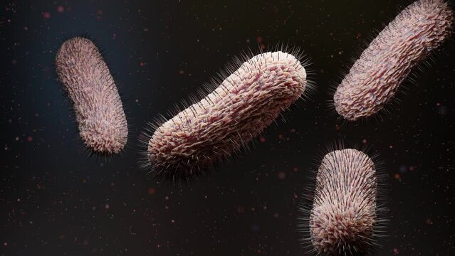 Peritrichous Bacteria with lot of flagellum, harmful bacteria with long tails and thin villi moving in the black environment, viruses floating in the liquid space, microbe infection, 3d render