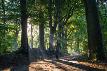A man walking in a lane with the sunlight breaking through the trees on a late summers morning.