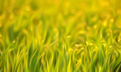aesthetic and beautiful grass background