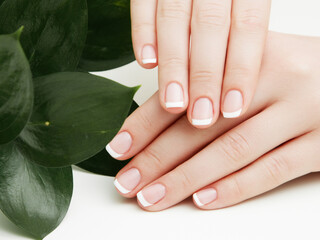 Beautiful woman's hands on light background. Care about hand. Tender palm with natural manicure, clean skin. Light pink nails