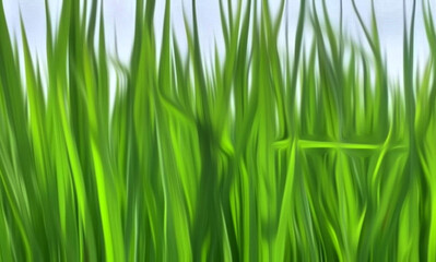 aesthetic and beautiful grass background