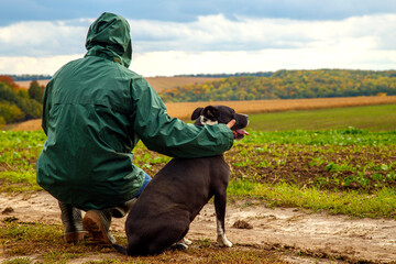 A man walks his dog in a field after a thunderstorm. Guy with staffordshire terrier in nature on a...