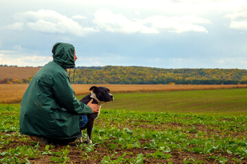 A man walks his dog in a field after a thunderstorm. Guy with staffordshire terrier in nature on a cloudy day. The concept of freedom, happiness, friendship, nature.