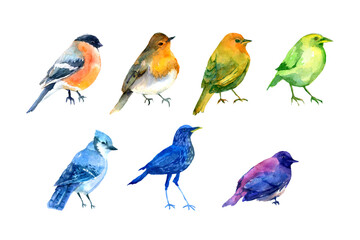 Watercolor set with colorful birds