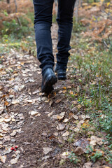 walking away on a path at autumn