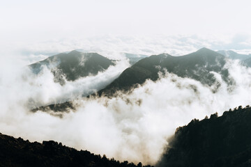 fog in the mountains
