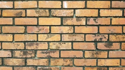 Red brick wall showing a groove line.
