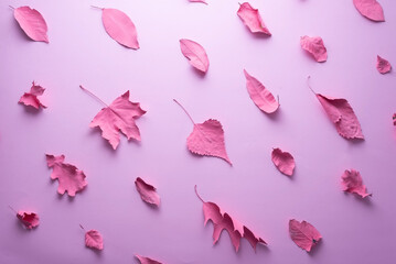 pink autumn leaves on pink background minimal composition