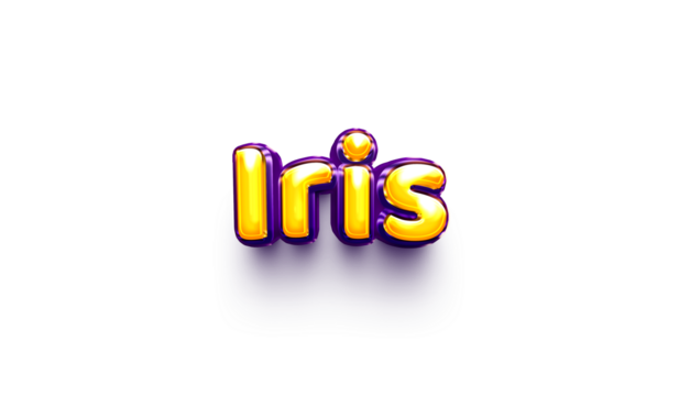 name of girls bubbly celebration decoration hanging air balloon shiny iris