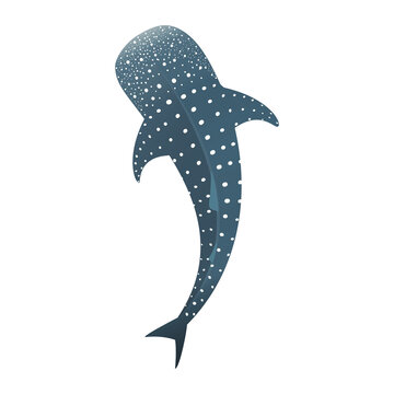 Whale Shark Png Format With Transparent Background	