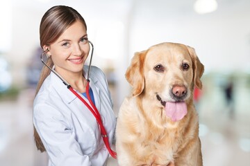 Young woman veterinarian hold a dog pet in clinic