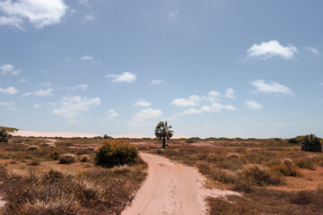 Obraz premium white sand / lençois maranhenses