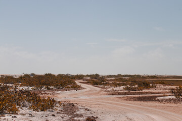 white sand / lençois maranhenses