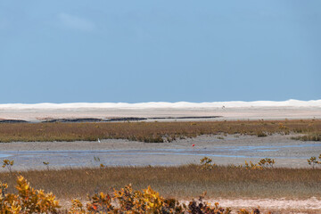 white sand / lençois maranhenses