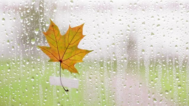 Falling кaindrops and yellow maple leaf on glass, texture of water drops on a wet window. Abstract Autumn Season background.