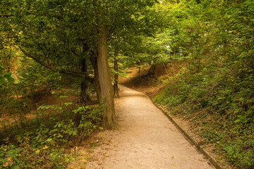 The woodland in Grajski Gric park on Castle Hill in the centre of Ljubljana, Slovenia 
