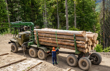 Lumberjack with modern harvester working in a forest. Forest industry. Wheel-mounted loader, timber...