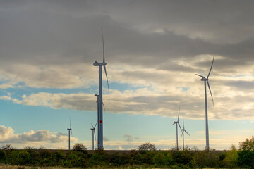 Wind turbines generate green energy in a field at sunset