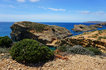 comino, wyspa, roślinność, lazur, gozo © Aleksandra