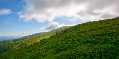 green carpathian landscape in summer. grassy slopes and alpine meadows. clouds on the sky