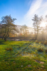 countryside landscape in mountains at sunrise. fog rolling in the rural valley among the trees on a grassy meadow in morning light. wonderful autumn nature scenery on a sunny weather day