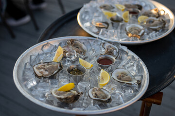oysters on the half shell