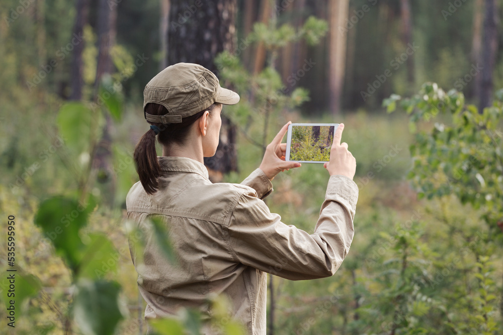 Wall mural a woman forester in uniform take a photo using a digital tablet in a forest area in summer, back vie