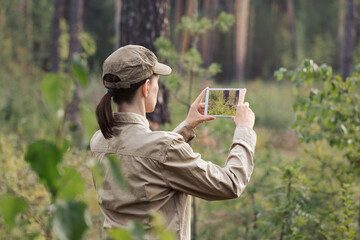 A woman forester in uniform take a photo using a digital tablet in a forest area in summer, back...