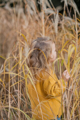 Cute little girl 3 years old plays in the autumn bright park. Portrait of a happy child. Fall.