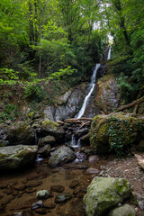 Waterfall in the forest background