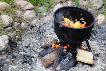 Pot full of meat and vegetables near campfire