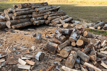 Wood chopping area in the backyard of a country house