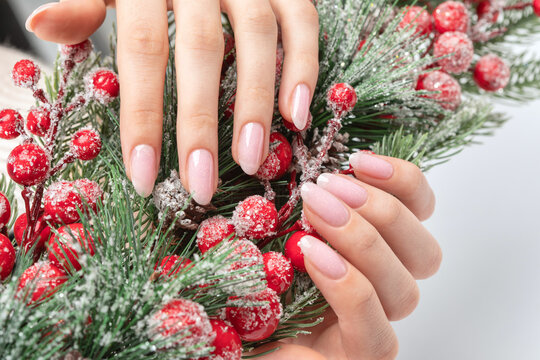 Women's hands with a beautiful pale pink manicure. Girl holding a Christmas tree branch. Professional care for hands. New Year concept.