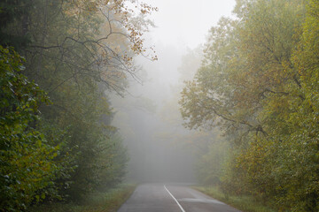 road in autumn in Belarus