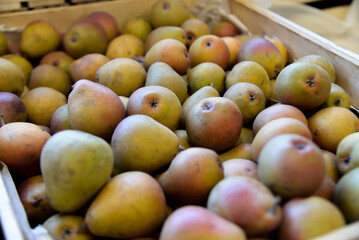 pears at the market
