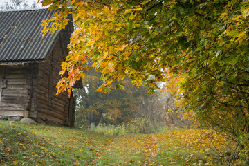 road in autumn in Belarus