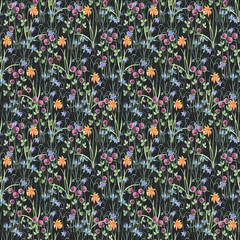 Watercolor botanical seamless pattern meadow wildflowers and garden plants. Hand drawn leaves, pink flowers, herbs and natural elements. For birthday, wedding card, invitation, greeting, mother day.