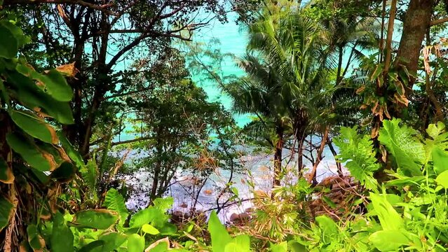 Nai Thon Naithon Beach view behind trees Phuket Thailand.