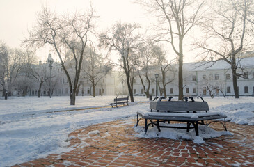 Frosty December morning in the park in Kyiv