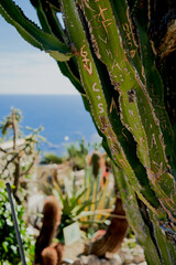 Südfrankreich Ausblick 6