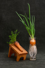 Ripe carrots and sprouted onions in a glass vase on a dark background