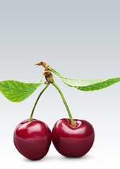 Fresh ripe juicy sweet cherries