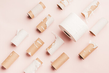 One full roll of toilet paper surrounded by many empty rolls. Conceptual shot of scarcity and hoarding.