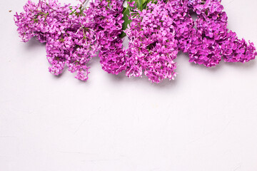 Floral still life banner flat lay. Lilac flowers on white textured background. Place for text.